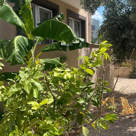 Apartment Bisuite Urla
