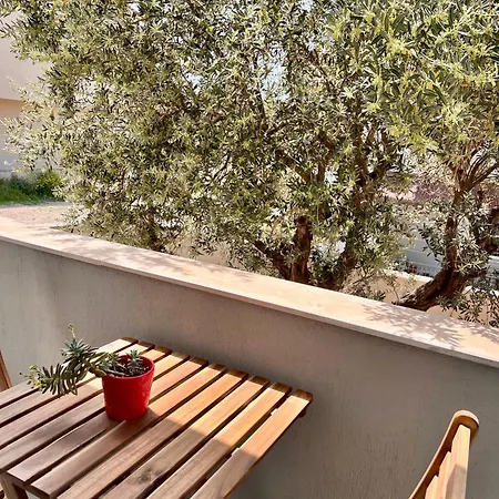 Bisuite Urla Kuşçular