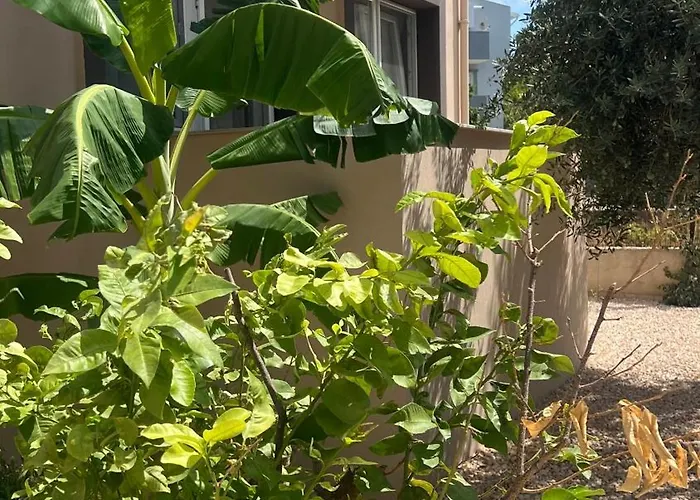 Apartament Bisuite Urla