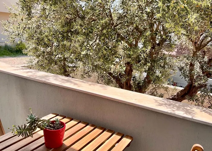 Bisuite Urla Kuscular