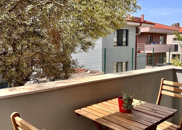 Bisuite Urla Daire Kuşçular