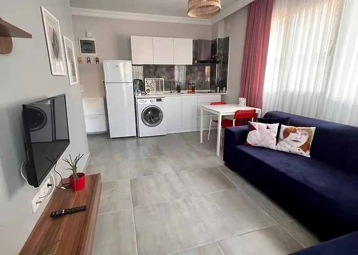 Bisuite Urla Kuşçular